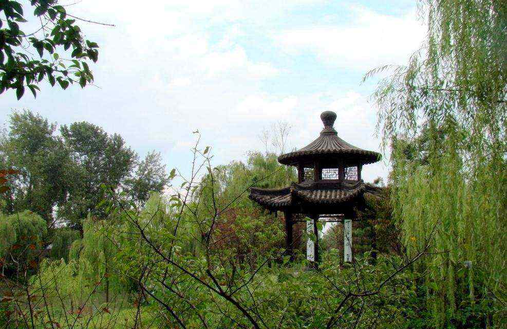 实拍图