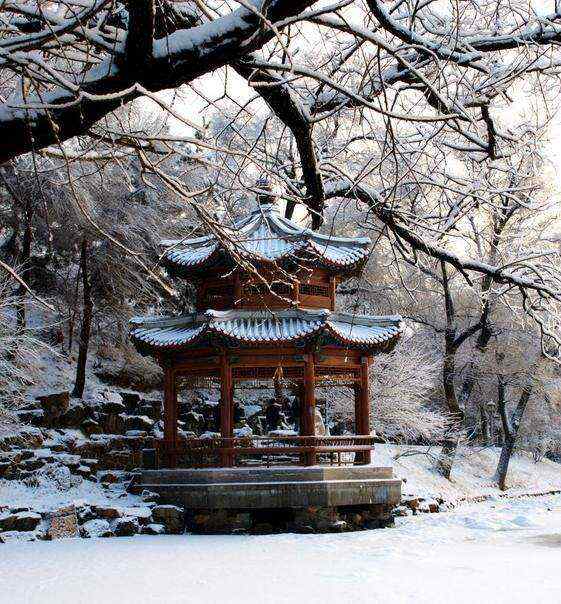 实拍图
