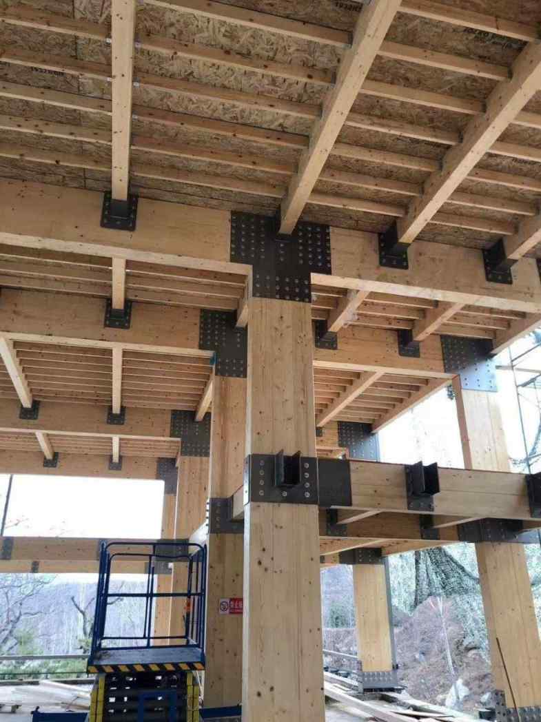 赣州度假木屋 星空木屋厂家