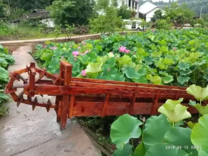 中国古建的屋顶艺术：从实用防雨到等级形制的美学演变