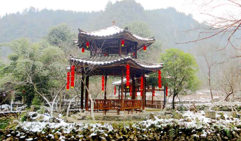 实拍图