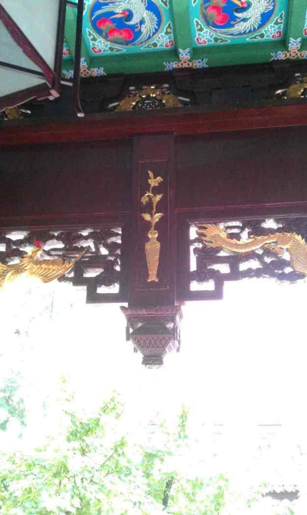 实拍图