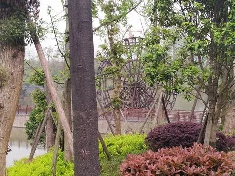 缩略图2