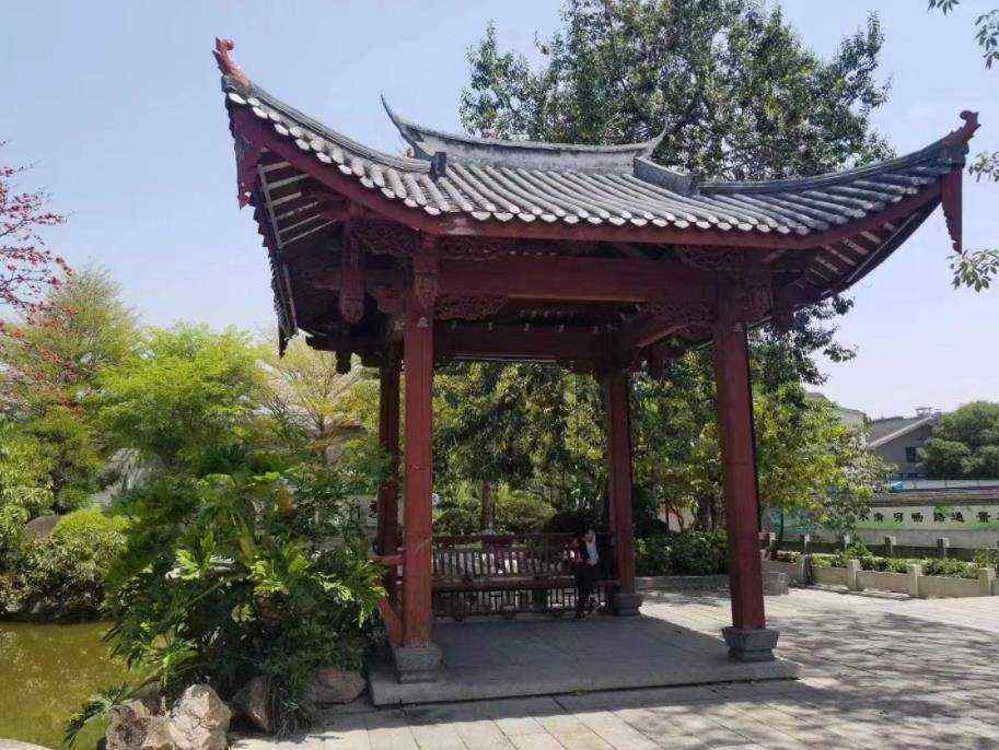 实拍图