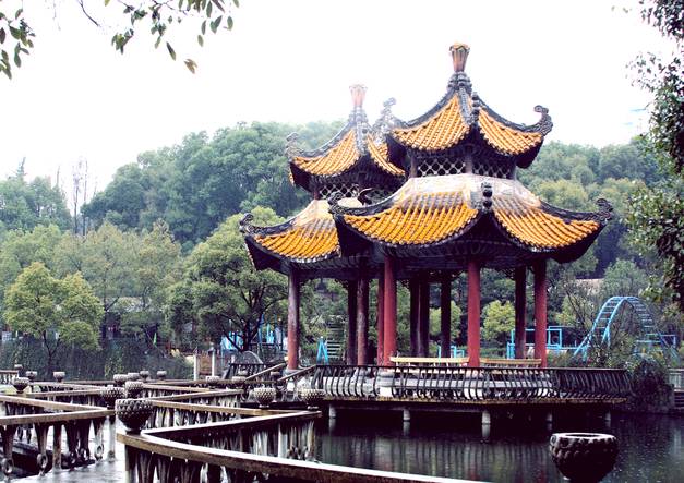 实拍图
