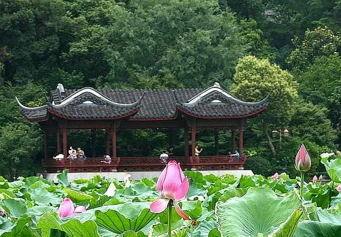 缩略图3