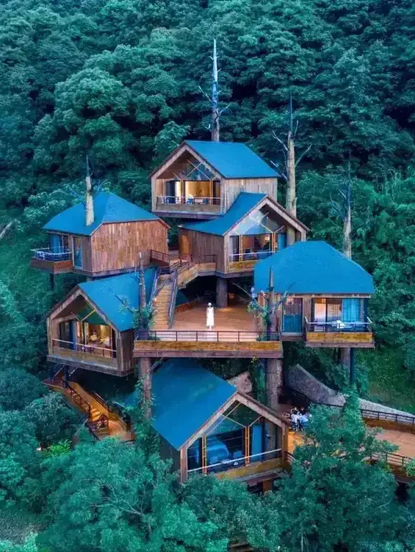 天水度假木屋 木屋民宿 星空树屋 网红打卡厂家
