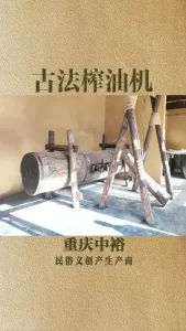 2025传统工艺教育全面复兴：中小学劳动课列入木工内容，从娃娃抓起的木作传承
