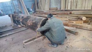 Traditional Oil Press: How Authentic Wood-Beam Machines