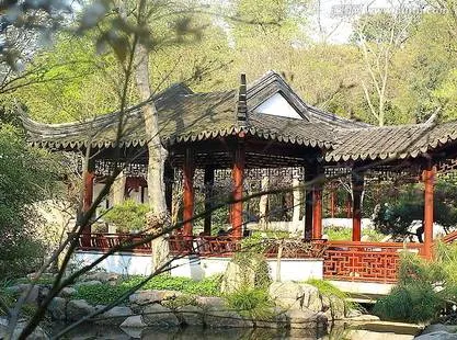 实拍图1