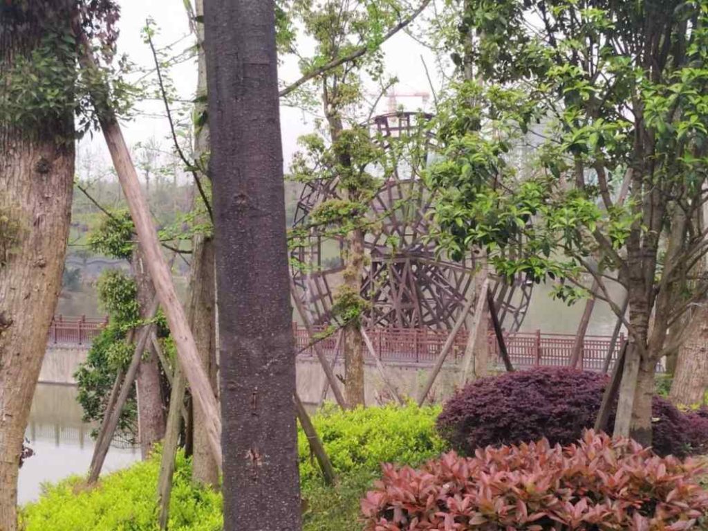 缩略图2