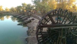 Traditional Waterwheel History
