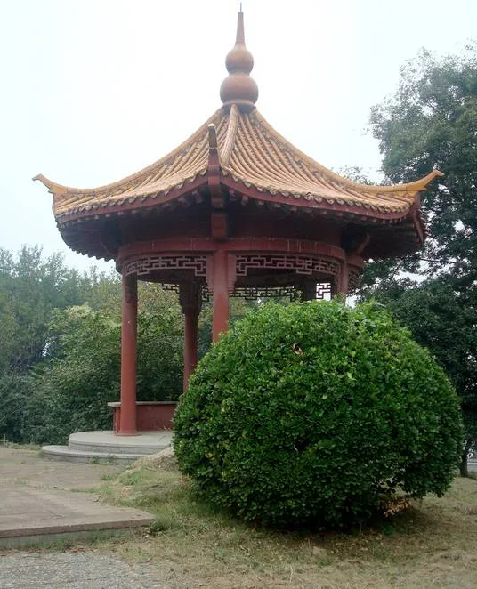 缩略图3