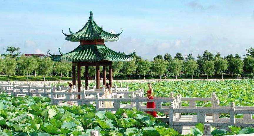 缩略图3
