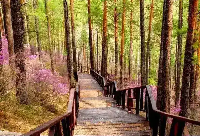 北京景区公园亲水木栈道 厂家